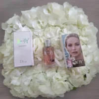 Dior JOY - 100ml EDP