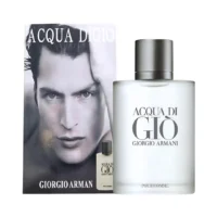 Giorgio Armani 'Acqua Di Giò Pour Homme' - 100ml EDT