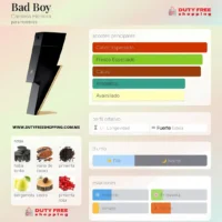 Carolina Herrera Bad Boy - 100ml EDT