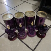 IMG_20251219_170034 Jean Paul Gaultier Paradise Fall Morado (Saldo)