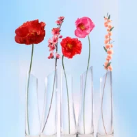 Flower by Kenzo - 100ml EDP