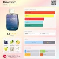 Rasasi Hawas Ice - 100ml EDP Perfume Árabe
