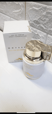 Armaf Odyssey Eau De Montagne Mountain Edition EDP 100ml-hombre