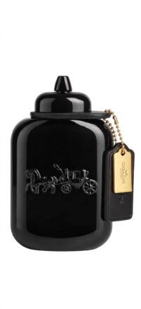Coach For Men Eau de Parfum 100ml Hombre